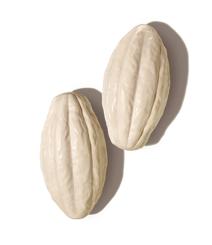 Natura Ekos Cacau Creamy Bar Soap Set – Nourishing Moisturizing Soap (4 x 100g)