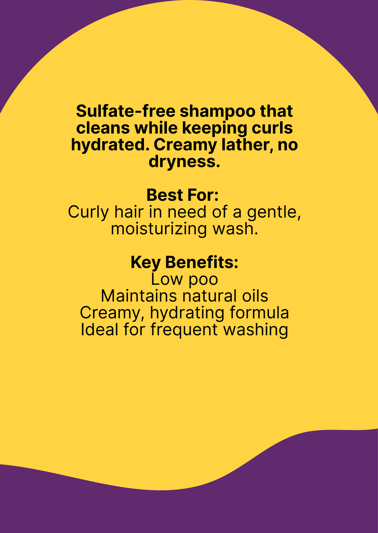 Widi Care Higienizando a Juba Shampoo – 500ml