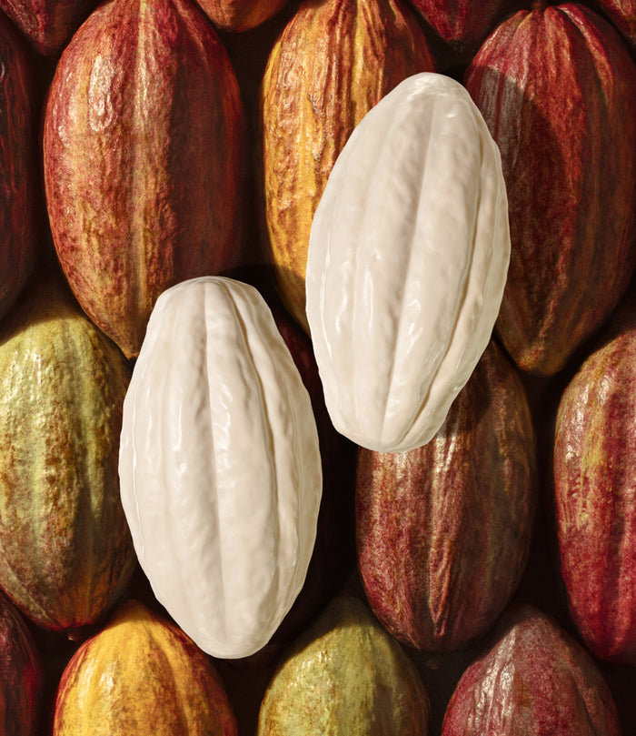 Natura Ekos Cacau Creamy Bar Soap Set – Nourishing Moisturizing Soap (4 x 100g)