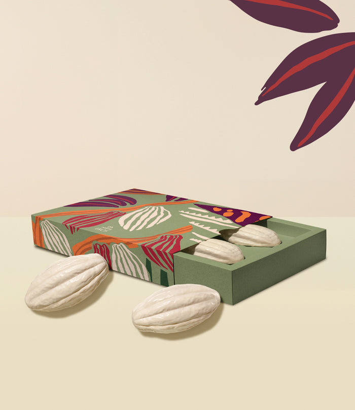 Natura Ekos Cacau Creamy Bar Soap Set – Nourishing Moisturizing Soap (4 x 100g)