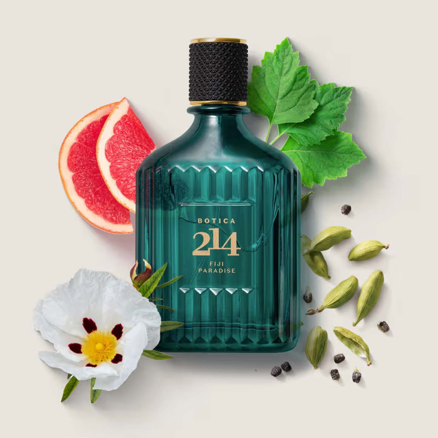Botica 214 Fiji Paradise Eau De Parfum for men, 90ml